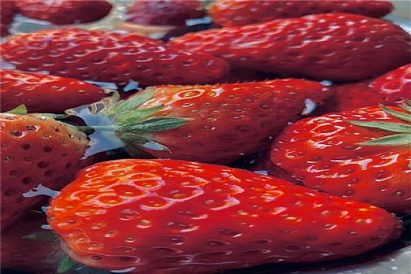 公司產品
